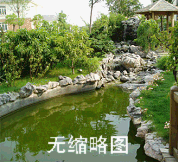 中國最大的采石基地-特供黃蠟石、駁岸假山石