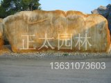 園林石場(chǎng)批發(fā)銷(xiāo)售各種規格景觀(guān)黃蠟石