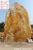 6.2米大型立石園林景觀(guān)黃蠟石刻字石 編號3425