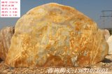 4.6米寬臥石迎賓石景觀(guān)黃蠟石刻字石