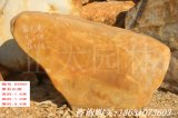 1.8米臥石園林景觀(guān)石黃蠟石  編號D3902