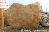 4.1米臥石廣東景觀(guān)黃蠟石刻字石供應商 D6761