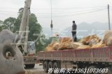 2014石場(chǎng)現場(chǎng)吊裝黃蠟石上車(chē)圖