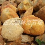 小規格園林黃蠟石大量批發(fā)