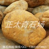 剛開(kāi)采出來(lái)的駁岸流水黃蠟石、溪流石