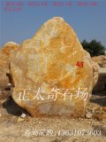 2.8米高立石園林景觀(guān)黃蠟石刻字石 編號1806