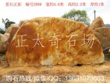 4.6米寬臥石刻字招牌黃蠟石 編號2909