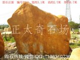  3.1米寬臥石景觀(guān)黃蠟石、刻字招牌石 編號2212