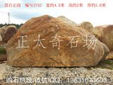  4.3米寬臥石黃蠟石、小區提名用石 編號2742
