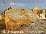  10米寬巨型景觀(guān)臥石，廣場(chǎng)題名黃蠟石編號4700