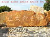  6.3米寬臥石園林黃蠟石、刻字招牌石編號5032