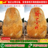  3米高園林景觀(guān)立石、刻字黃蠟石 編號5856