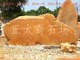  3.2米寬臥石黃蠟石、黃蠟石產(chǎn)地直銷(xiāo) 編號3148
