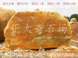  3.1米寬臥石黃蠟石、花園小區題名石 編號1701