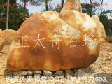  2.5米寬臥石黃蠟石 小區題名石 編號2228