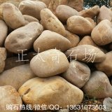  小規格黃蠟石、魚(yú)池假山石、黃蠟石濕水效果對