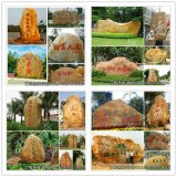  熱銷(xiāo)大型黃蠟石、景觀(guān)刻字石、各類(lèi)園林石