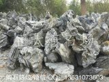  批發(fā)高檔英石、工程庭院造景假山石