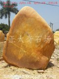 2.3米立石園林黃蠟石 題名景觀(guān)石 編號Y-3151