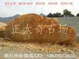  5米寬臥石黃蠟石 、景觀(guān)石、園林石 編號M-0049