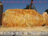 7.5米寬臥石廣東園林景觀(guān)刻字題名黃蠟石 編號