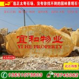  4米寬臥石黃蠟石 題名招牌景觀(guān)石 編號A5-4620