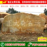  4.7米寬臥石廣東黃蠟石 題名景觀(guān)石 編號L-1743