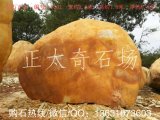  2.6米寬臥石廣東黃蠟石、景觀(guān)石 編號L-5101