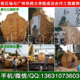 我場(chǎng)景觀(guān)黃蠟石成功落戶(hù)廣州華師大