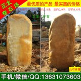  1.8米立石景區點(diǎn)綴黃蠟石 編號Y-5240