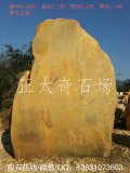  3.7米高立石廣東黃蠟石 景觀(guān)石 編號B-4506