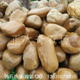 英德小規格黃蠟石、魚(yú)池假山石、黃蠟石濕水效