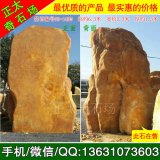  6.3米高立石景觀(guān)黃蠟石 編號G3-1405