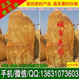  3.7米高立石廣東景觀(guān)石 題名黃蠟石 編號W-3315