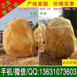  2.5米立石廣東景區點(diǎn)綴黃蠟石 編號Y-4012