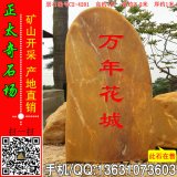  4米高立石廣東景觀(guān)石 刻字黃蠟石 編號C2-4201
