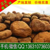 礦山開(kāi)采直銷(xiāo)園林黃蠟石、工程擺設用石（黃蠟