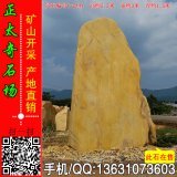 5.5米高立石 廣東英德產(chǎn)地黃蠟石 編號Y-2441