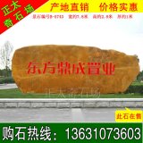 7.8米寬大型黃蠟石 小區刻字迎賓石 編號B-5743