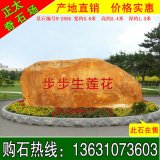 5.8米寬廣東英德黃蠟石 學(xué)?？套謩钪俱懢坝^(guān)石