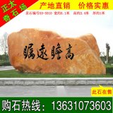 5.1米寬廣東黃蠟石 學(xué)?？套謩钪俱懢坝^(guān)石 編號