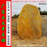 3.2米高英德黃蠟石 礦山開(kāi)采黃皮石 編號F-1008