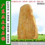 4米高景觀(guān)黃蠟石 勵志銘石 編號R-3427