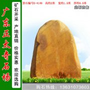  2米高廣東黃蠟石 小規格刻字石 編號E-4149
