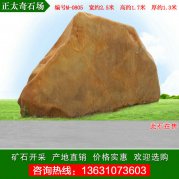 2.5米寬廣東黃蠟石 園林景觀(guān)石 編號M-0805
