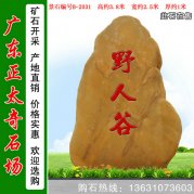 3.8米高廣東黃蠟石 刻字景觀(guān)石 編號B-2031
