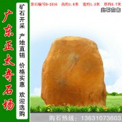 1.8米高廣東黃蠟石 中小規格刻字石 編號B-2316