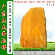  4米高景觀(guān)黃蠟石 景區入口標志石 編號U-3453