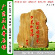  3.2米高立石 廣東黃蠟石 校園紀念石 編號U-1159