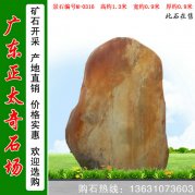 1.3米廣東黃蠟石 小規格刻字景觀(guān)石 編號M-0316